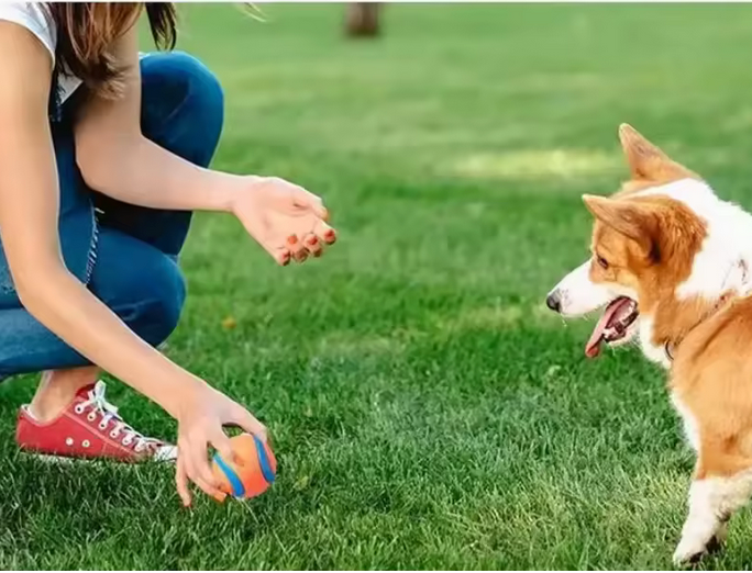 Balle solide en caoutchou