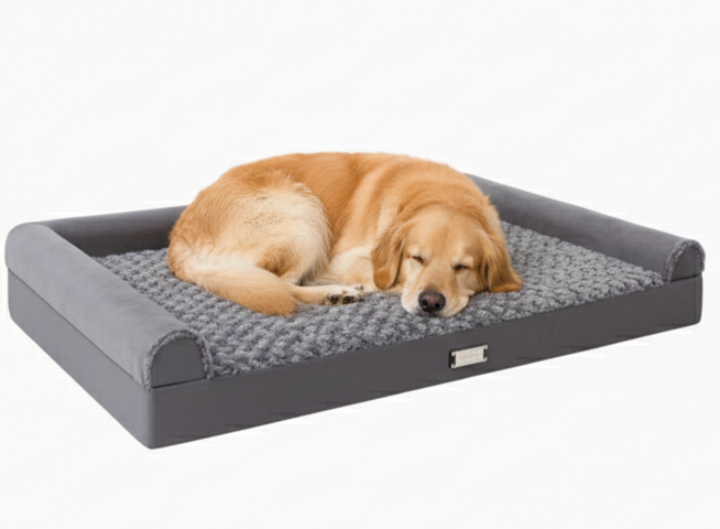 Lit Orthopédique Pour Chien